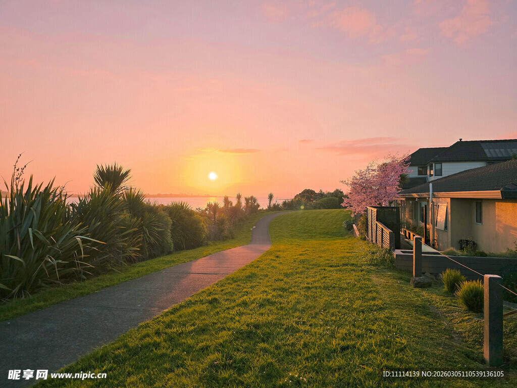 夕阳下的乡村小路与房舍