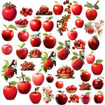 高清苹果免抠图素材