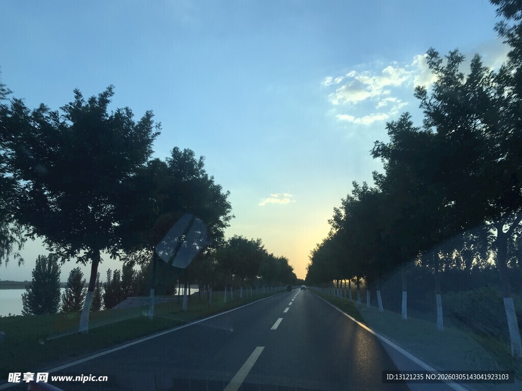 黄昏下的林荫道路