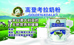 高登考拉奶粉产品展示