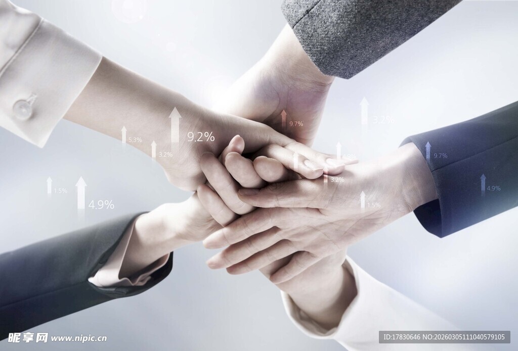 团队携手共筑成功之路