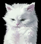 高冷白毛猫咪肖像