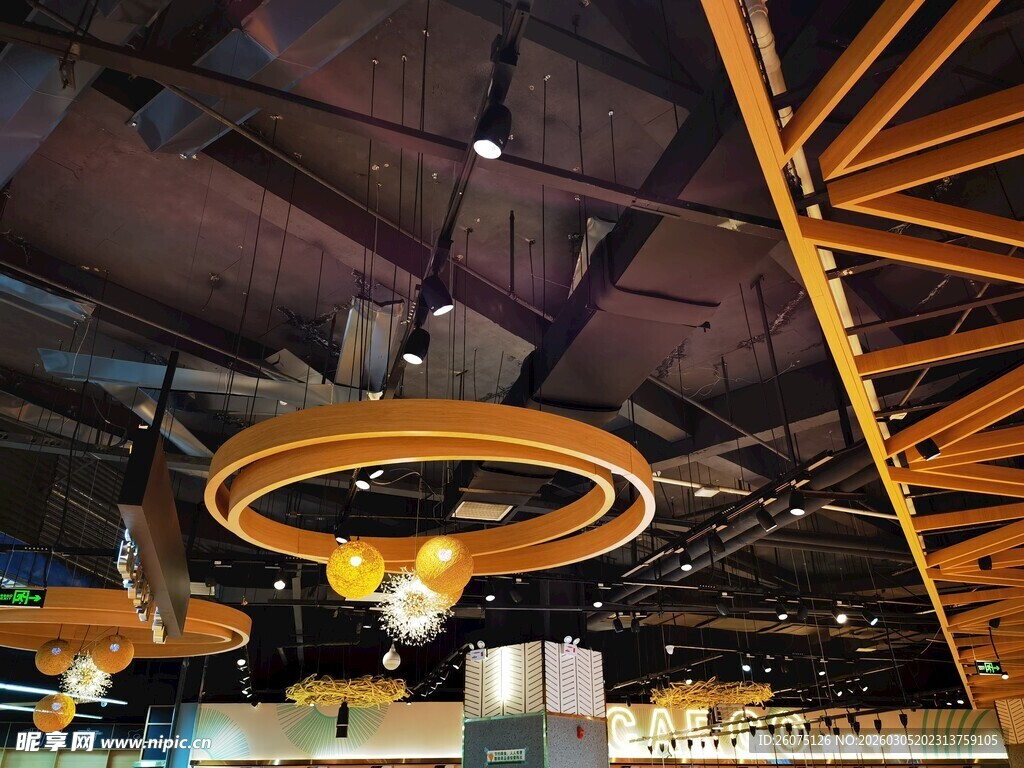 室内独特环形吊灯设计