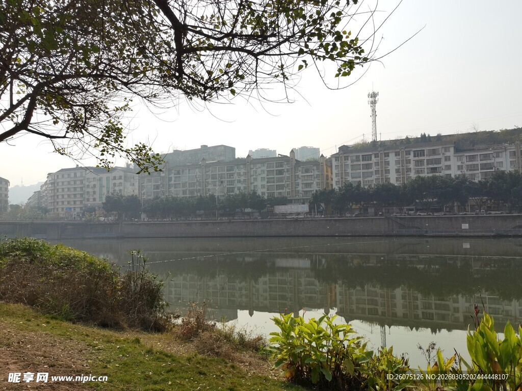 河畔晨景静谧城市风光