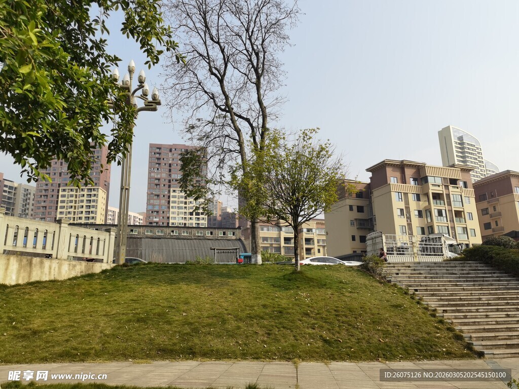 城市中的开阔绿地景观