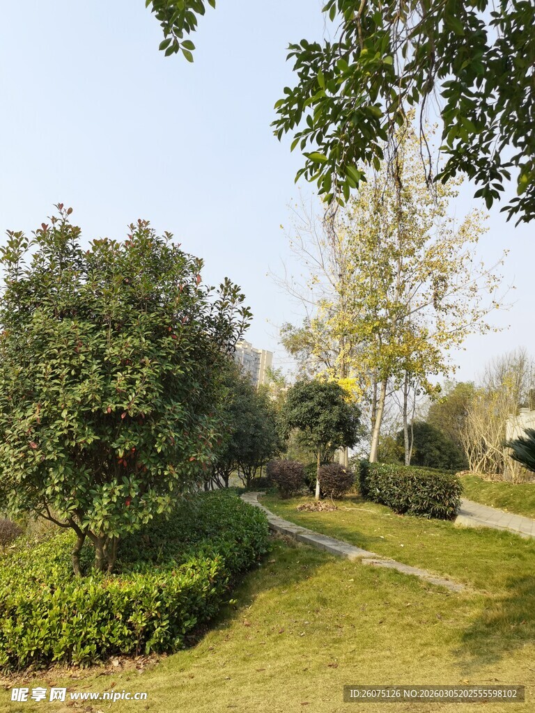 绿意盎然的公园小径