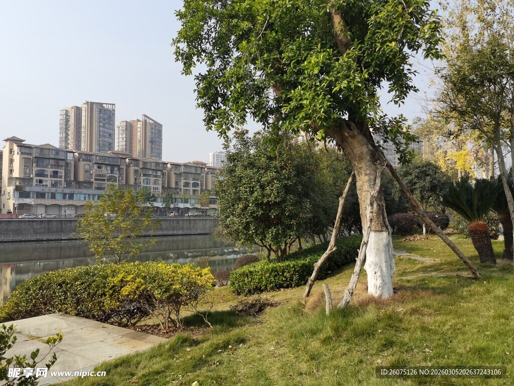 城市河畔绿意盎然风景