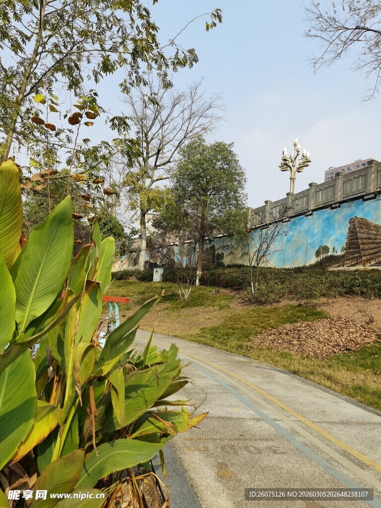 公园中的幽静小路与绿植