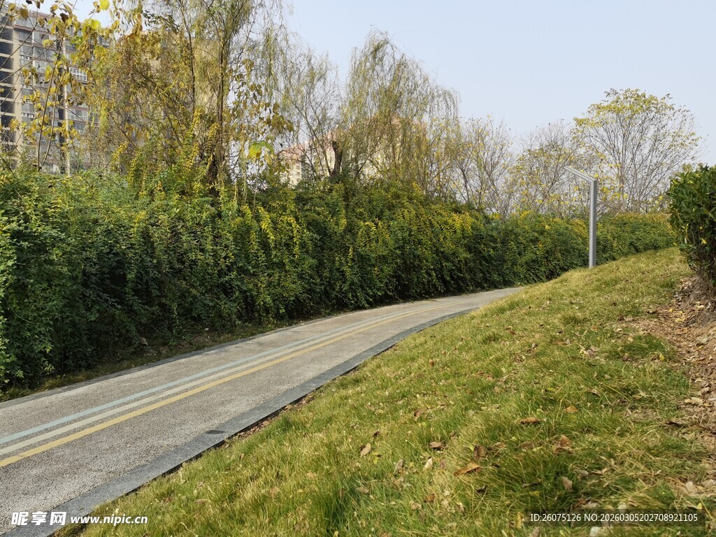 城市中蜿蜒的林荫步道