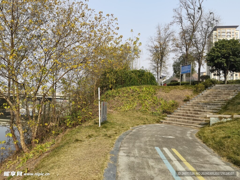 秋日河畔蜿蜒小路风景