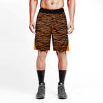 男士时尚运动短裤展示