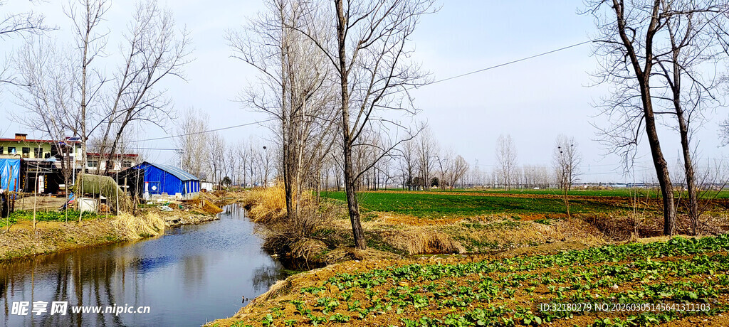 乡村边的小河田野风光景色