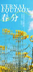春分海报
