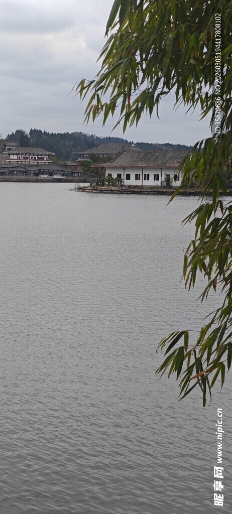 湖畔景致绿树低垂映水面