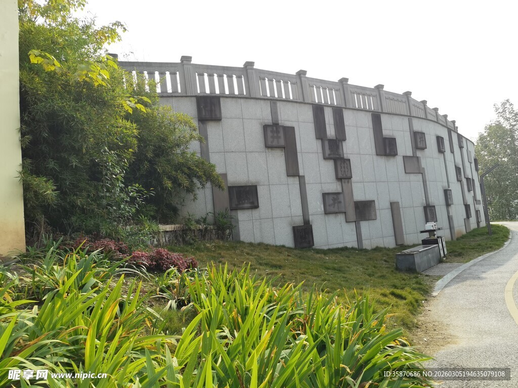现代建筑旁的葱郁绿植