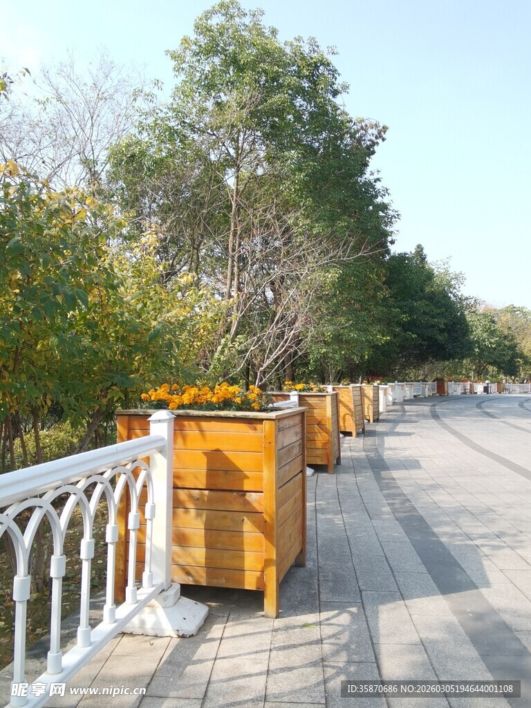 户外木质垃圾桶排列场景