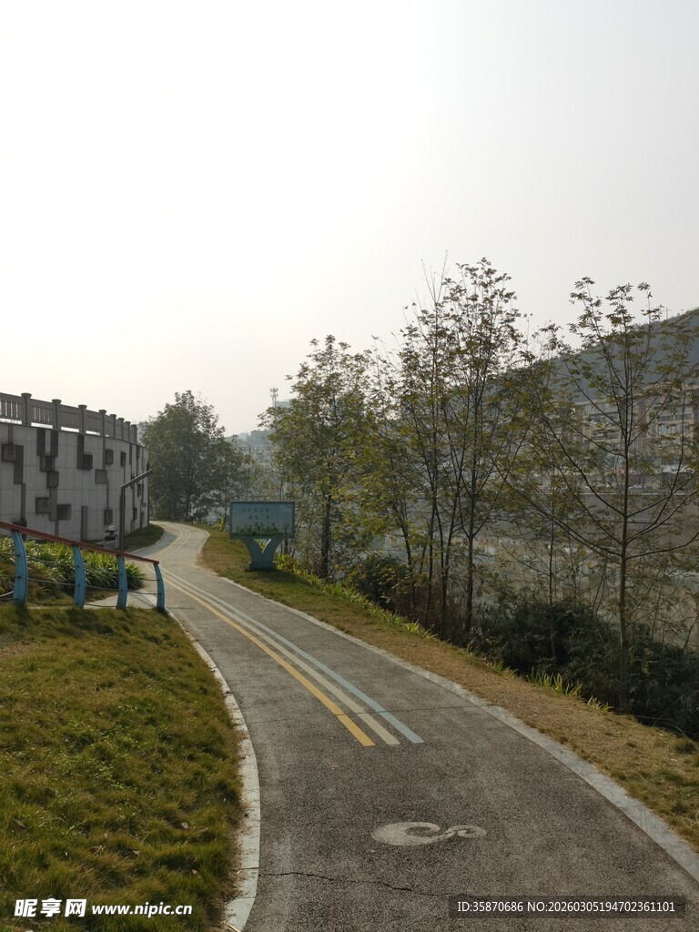 乡村公路旁的宁静景致