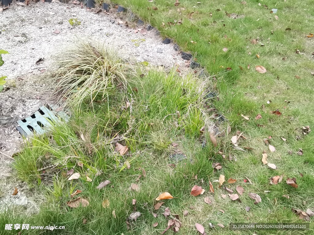 草地边的标牌与杂草