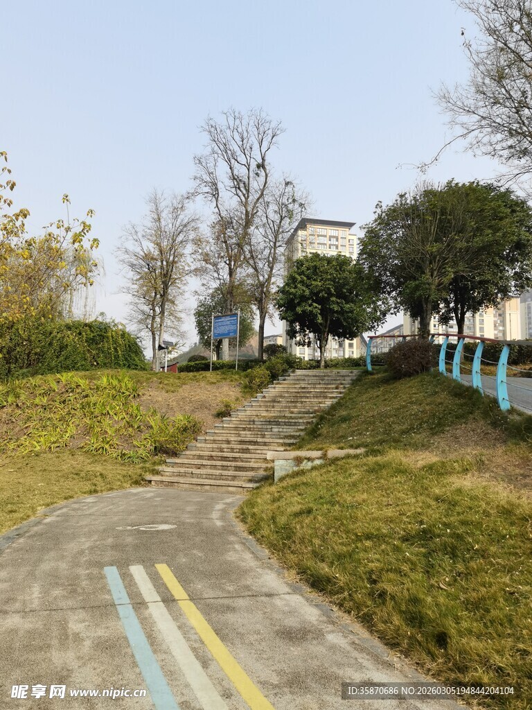 校园蜿蜒小径与周边景致