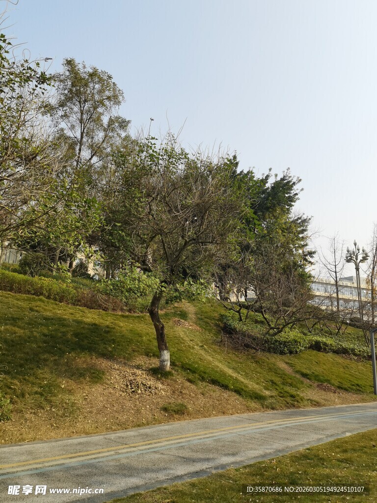 蜿蜒公路旁的绿意景致