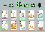一粒米的故事