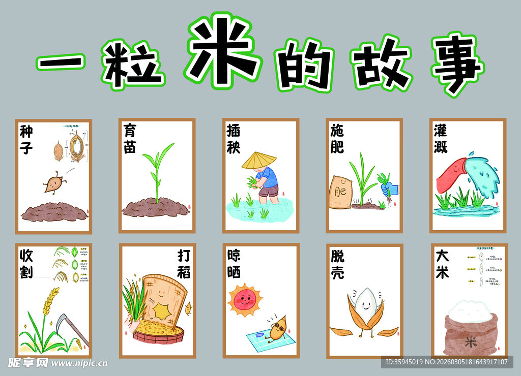 一粒米的故事