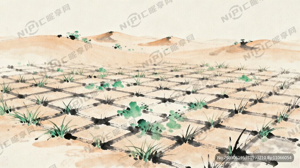 沙漠治理 草方格     