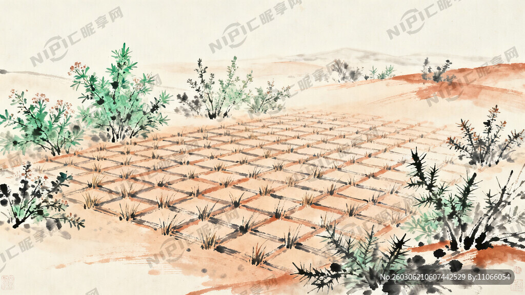 沙漠治理  草方格 花棒  