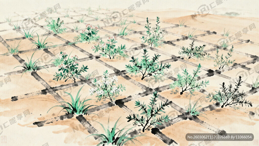 沙漠治理  绿草 花棒  柠条