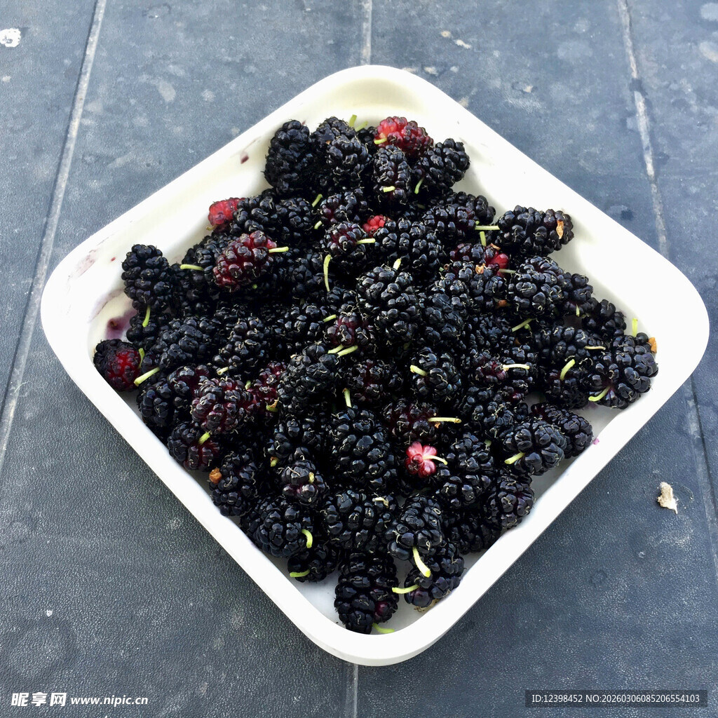 白盘里饱满的新鲜桑葚