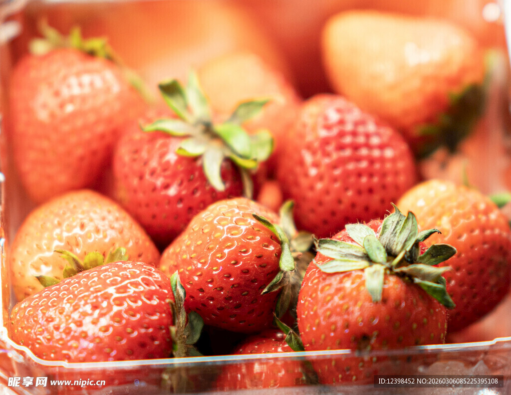 新鲜草莓装盒展示