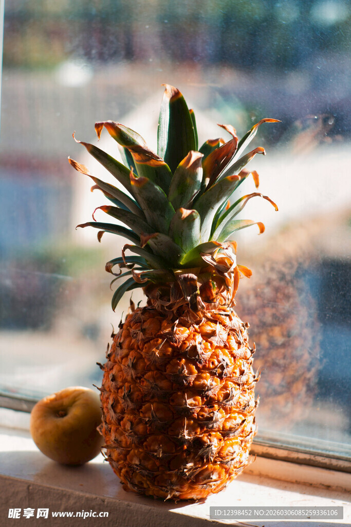 窗边的新鲜菠萝