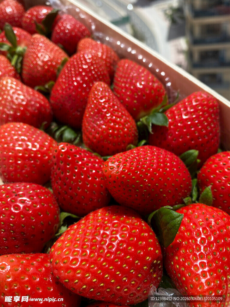 新鲜饱满的草莓陈列
