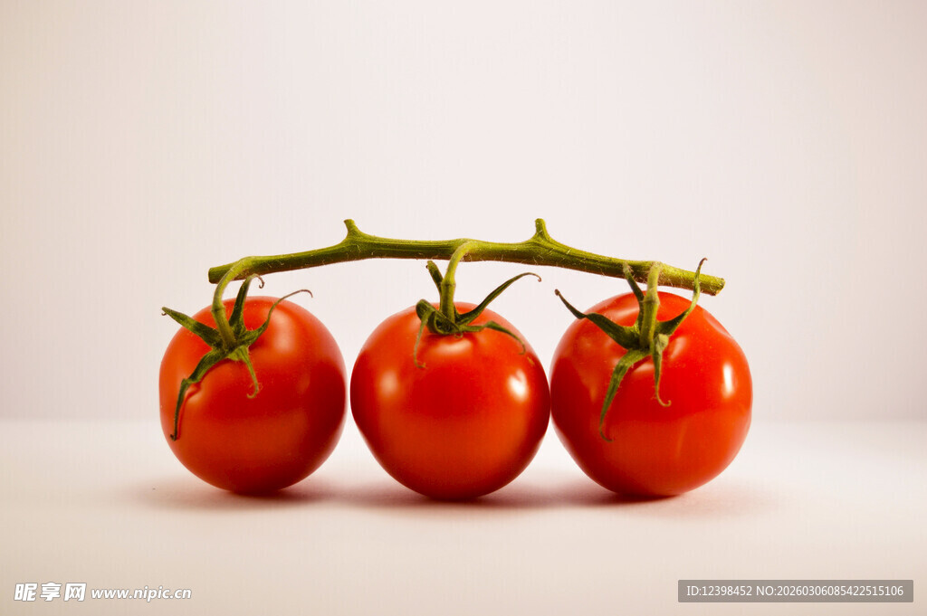 三枚鲜润的枝上红番茄