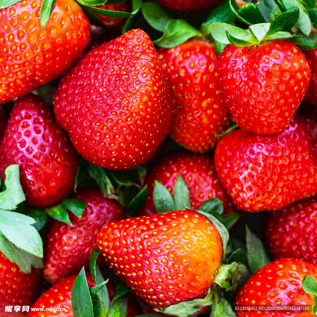 新鲜饱满的草莓果实