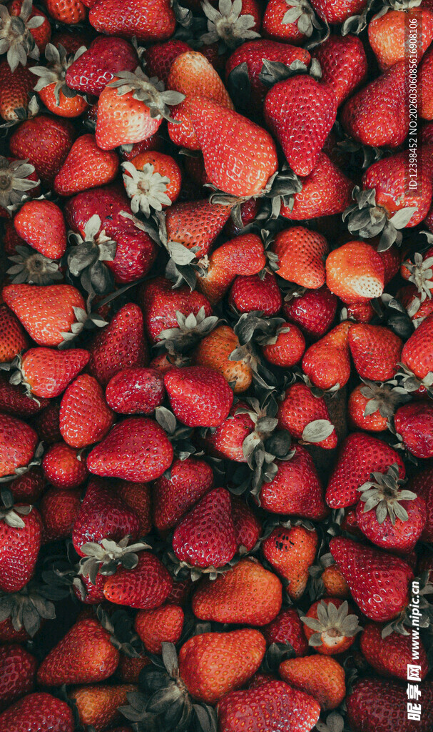 铺满草莓的诱人场景