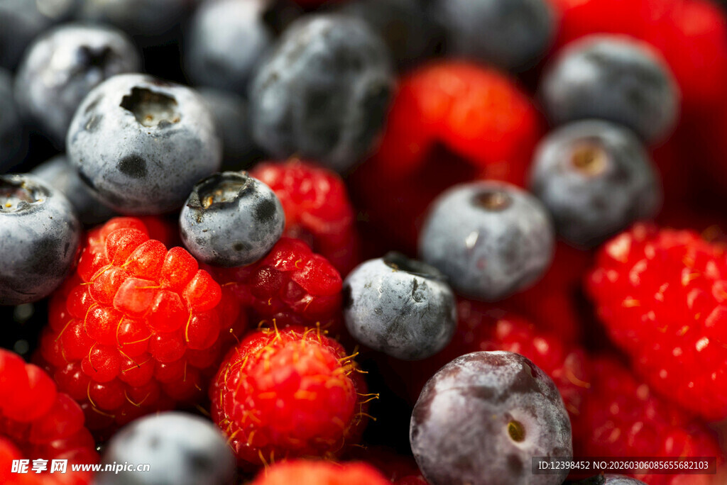 新鲜莓果大集合