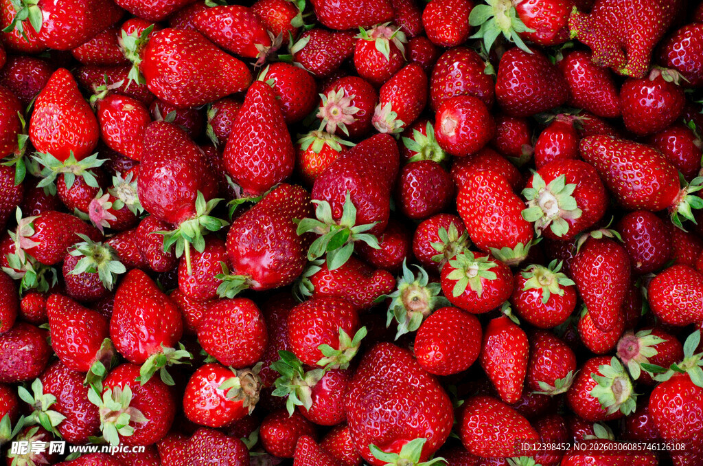 饱满鲜红的草莓大集合