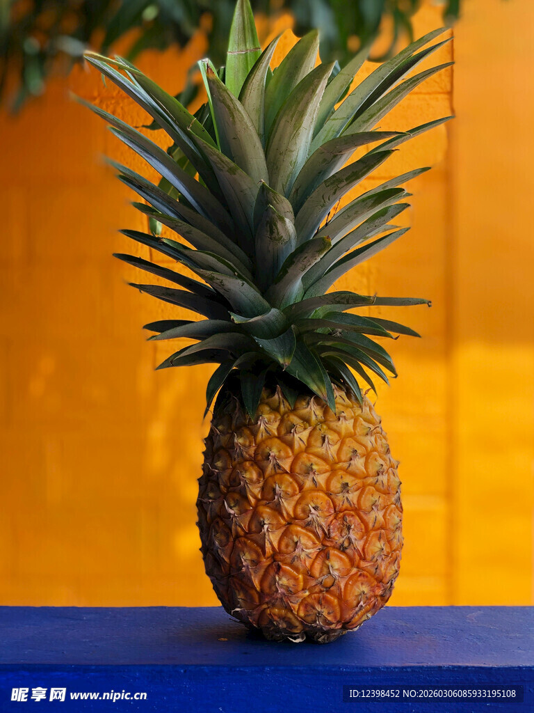 单个菠萝静物特写