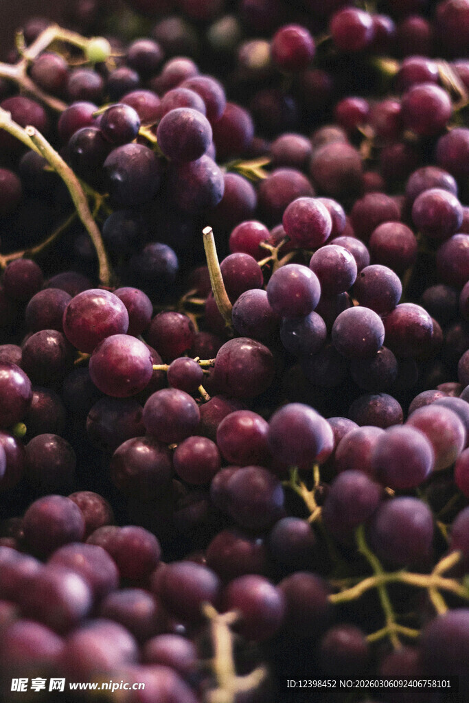 紫葡萄特写