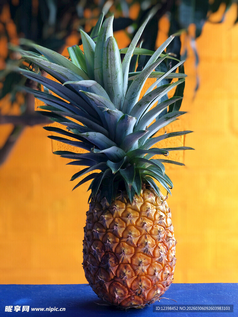 单个新鲜菠萝特写