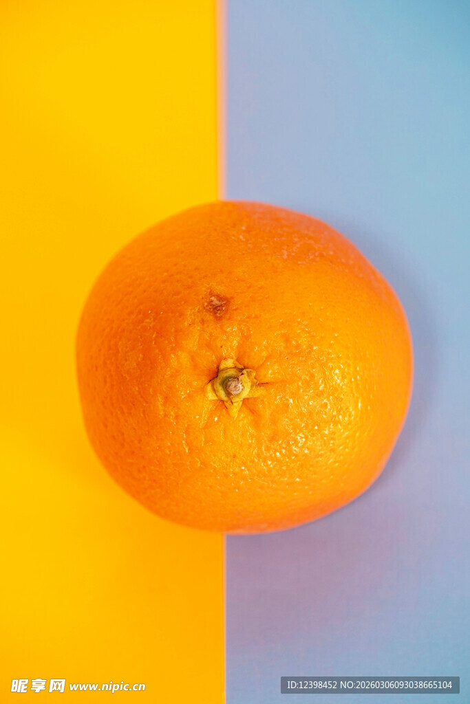 双色背景上的新鲜橙子