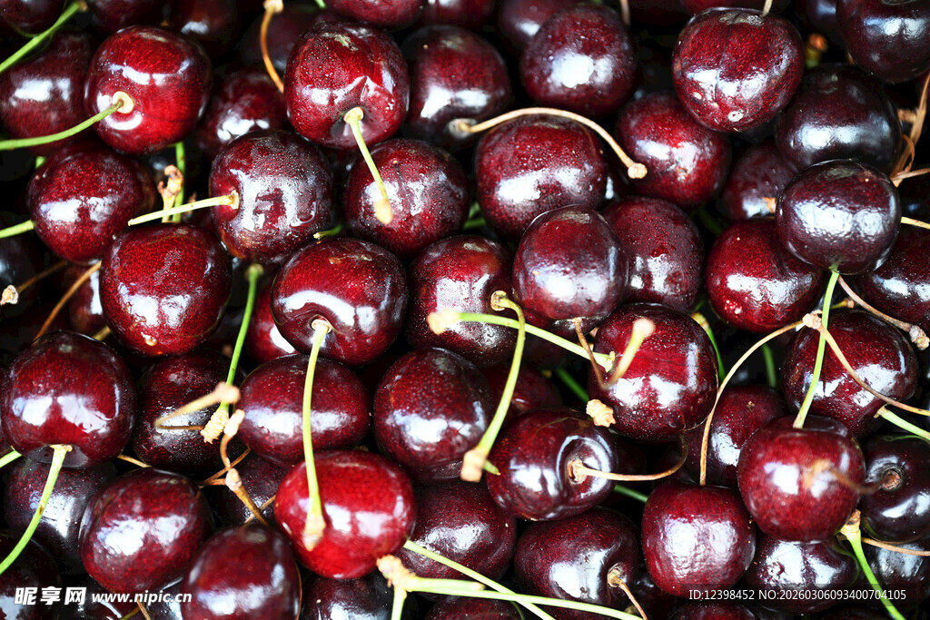 饱满鲜红的车厘子果实