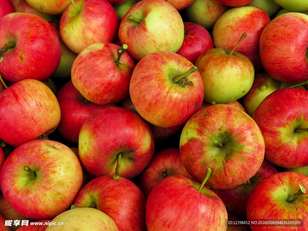 红青相间的饱满新鲜苹果