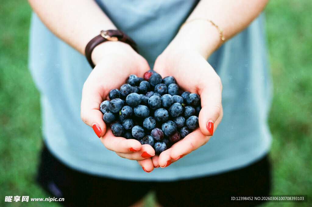 双手捧满新鲜蓝莓