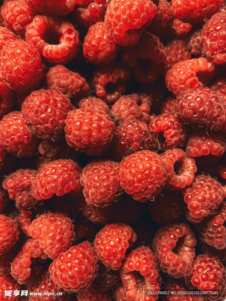 饱满红树莓特写画面