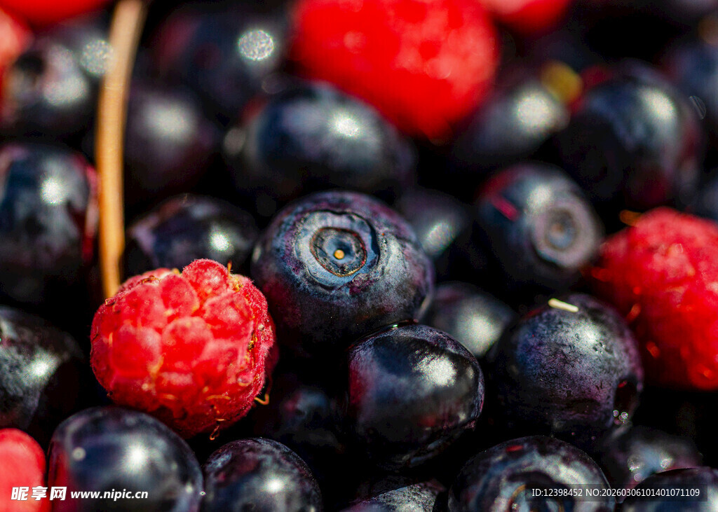 新鲜浆果组合