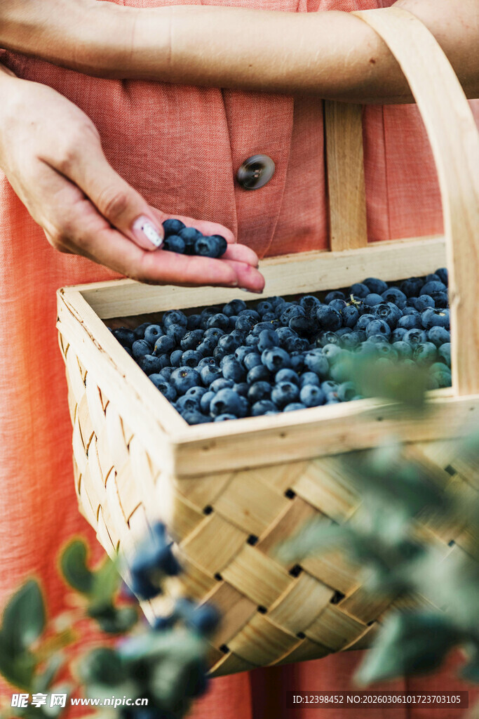 手捧蓝莓入木篮