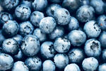 饱满蓝莓特写