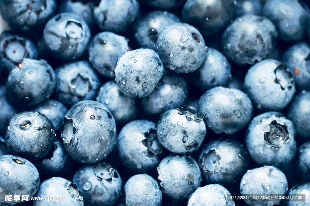 饱满蓝莓特写